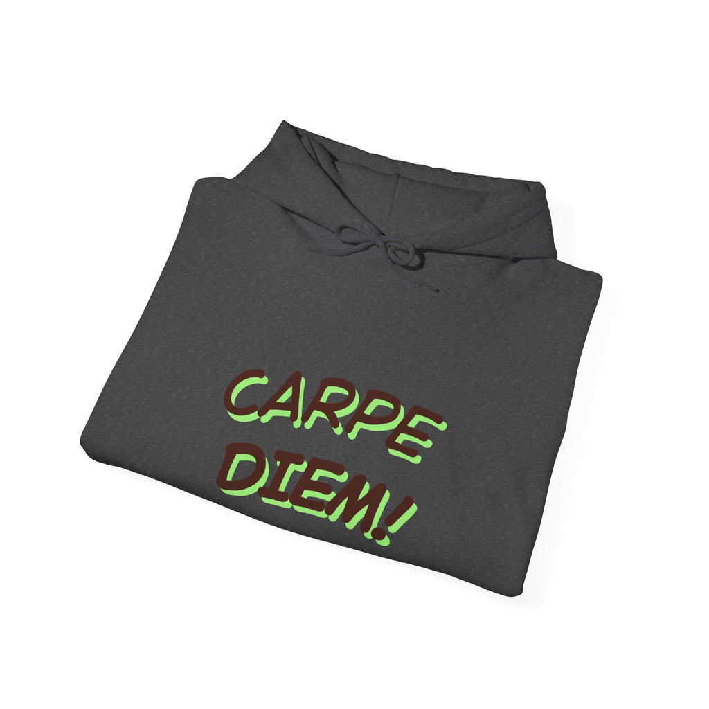 Carpe Diem! Hoodie | Motivational Script Graphic Sweatshirt