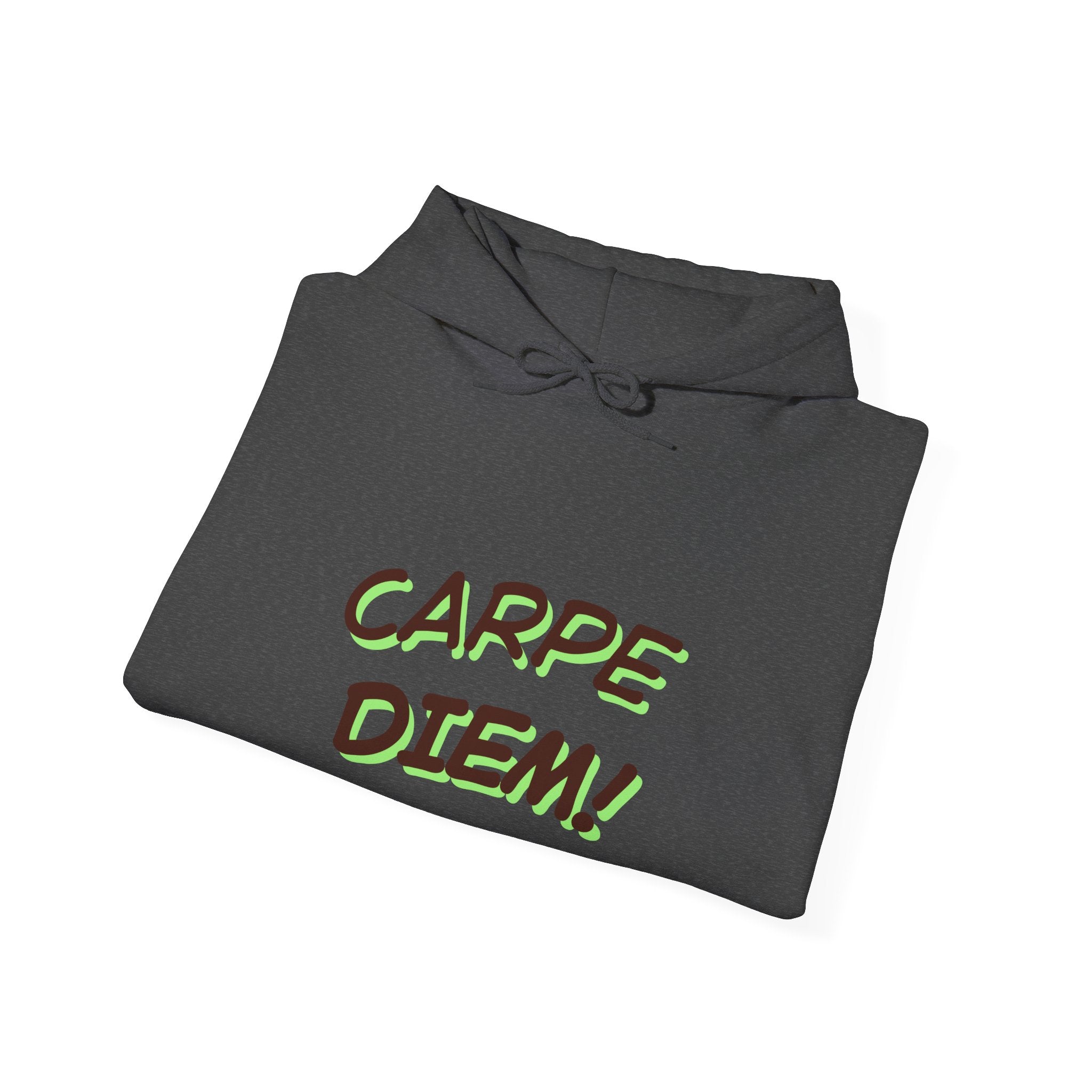 Carpe Diem! Hoodie | Motivational Script Graphic Sweatshirt