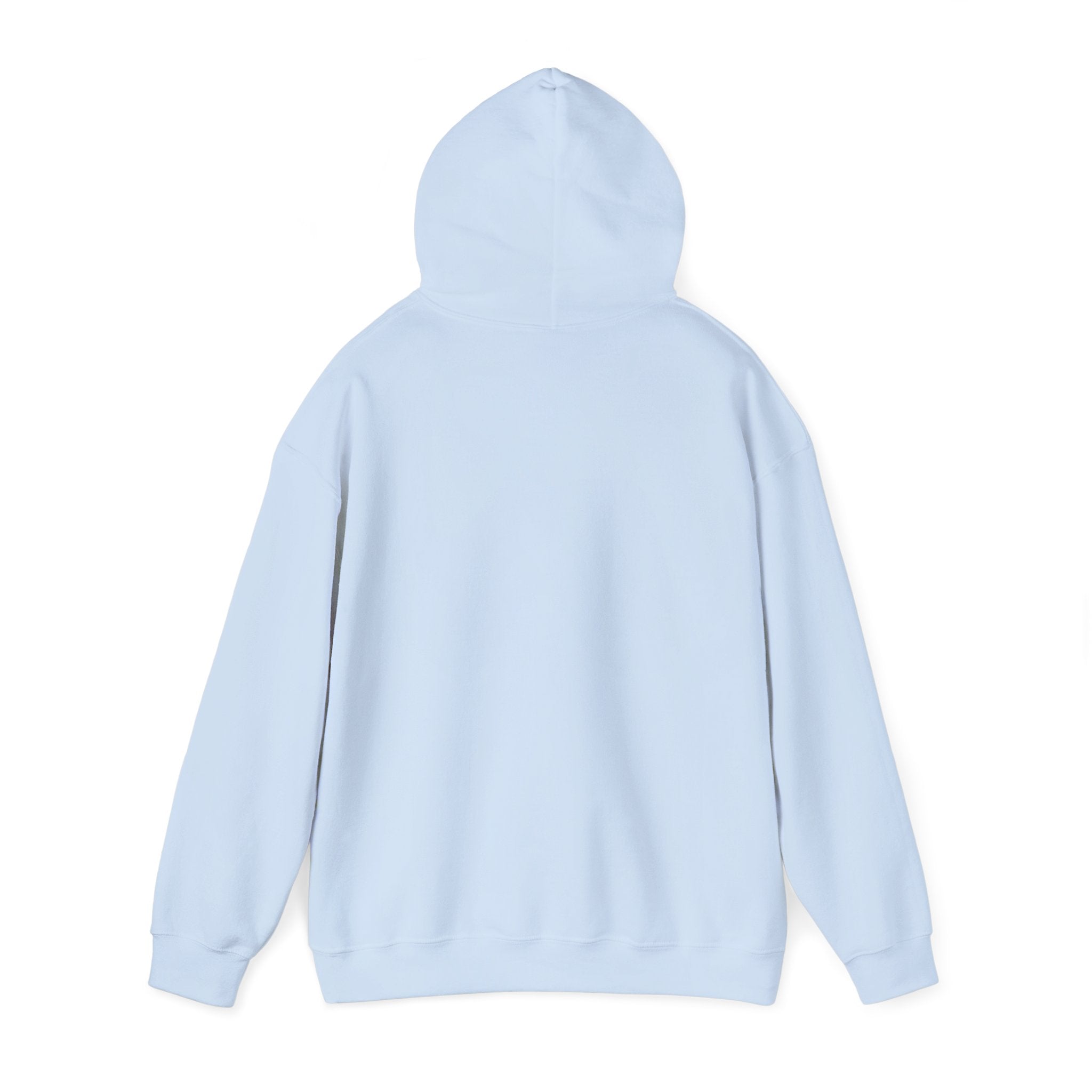 Carpe Diem! Hoodie | Motivational Script Graphic Sweatshirt