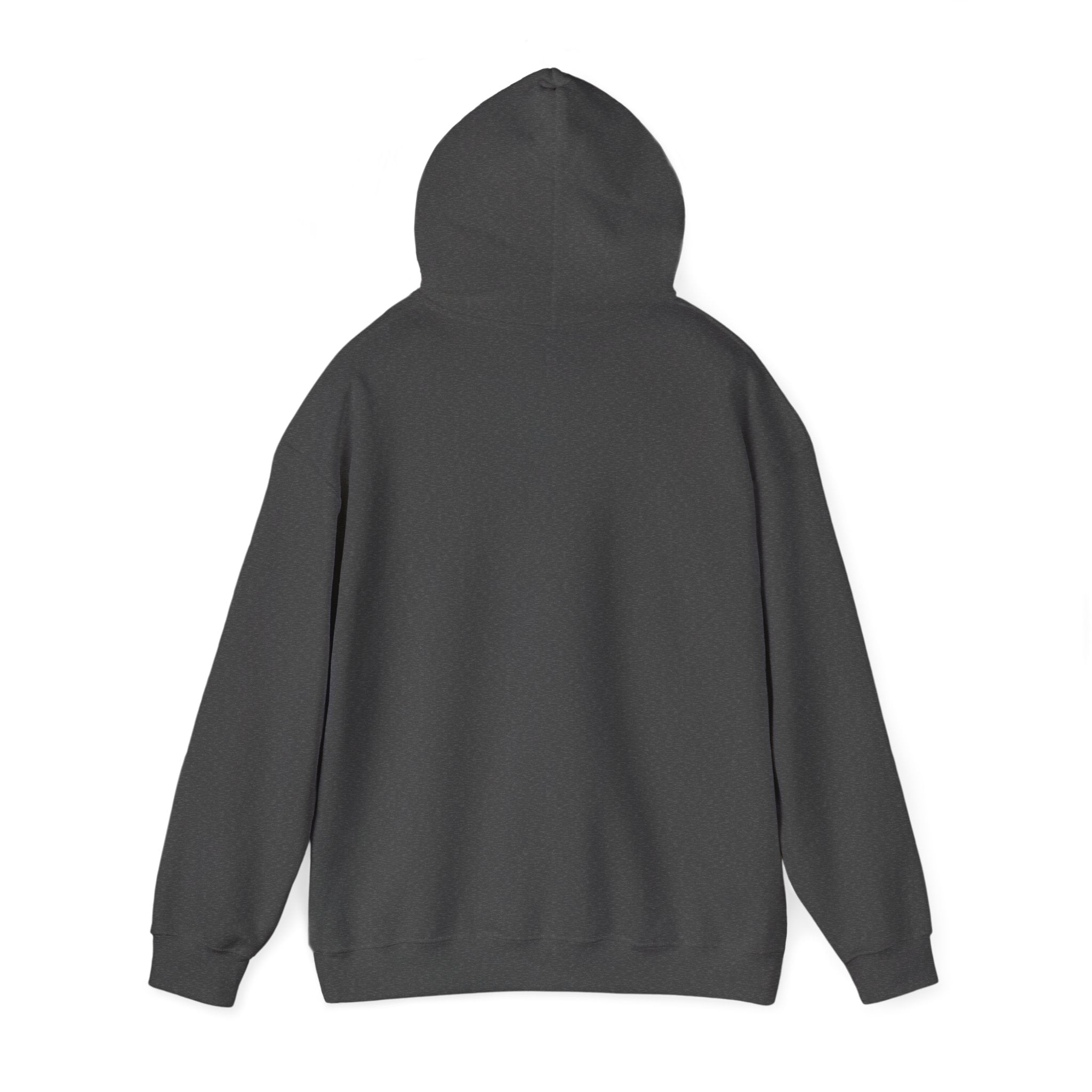Carpe Diem! Hoodie | Motivational Script Graphic Sweatshirt