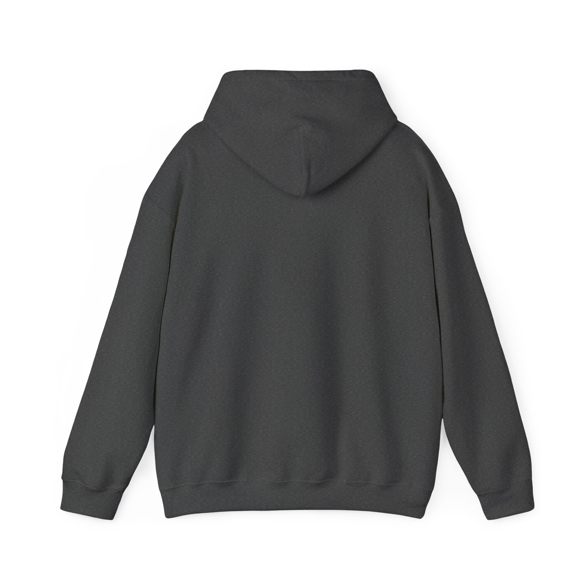 Carpe Diem! Hoodie | Motivational Script Graphic Sweatshirt