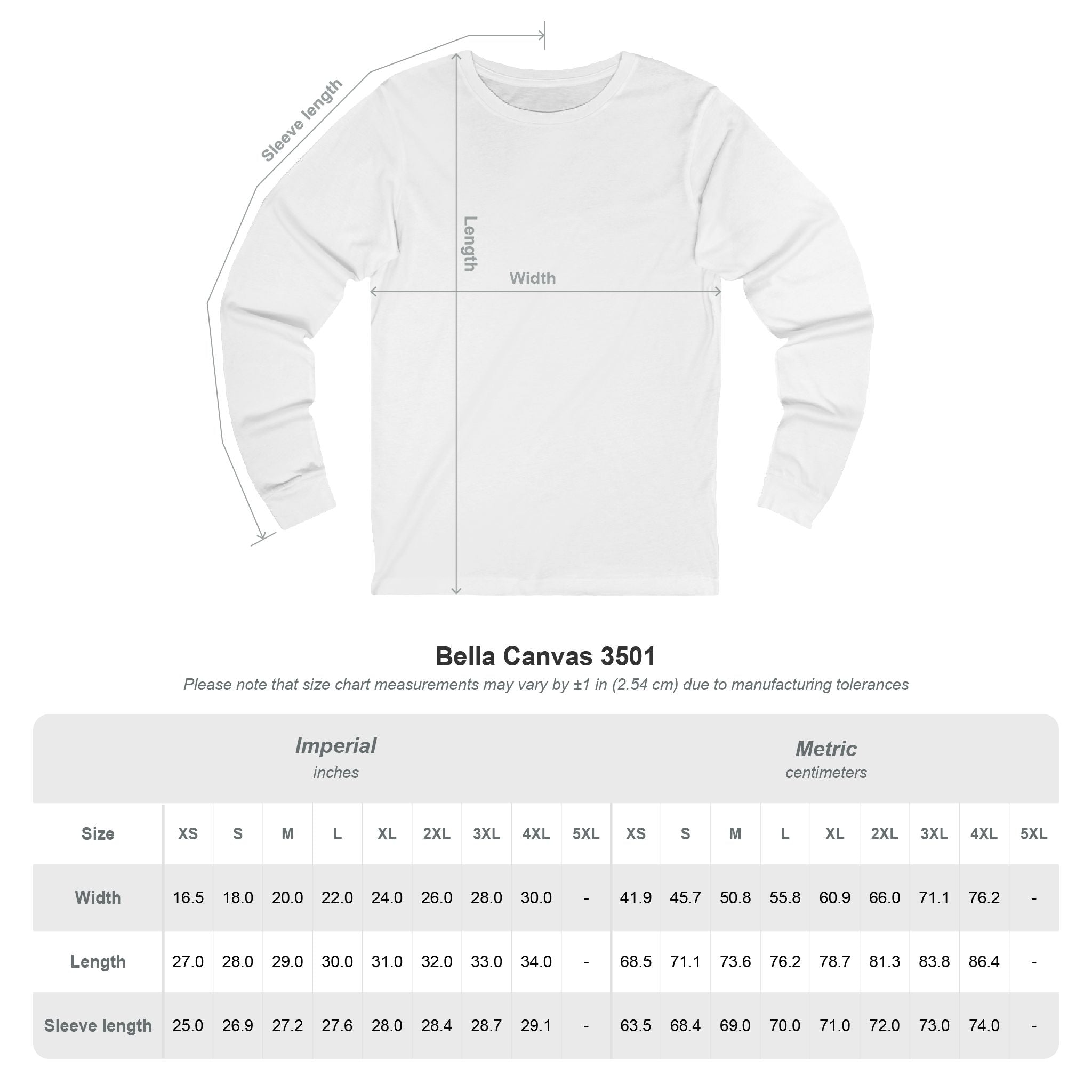 Carpe Diem Script Graphic Tee | Long Sleeve Motivational Shirt